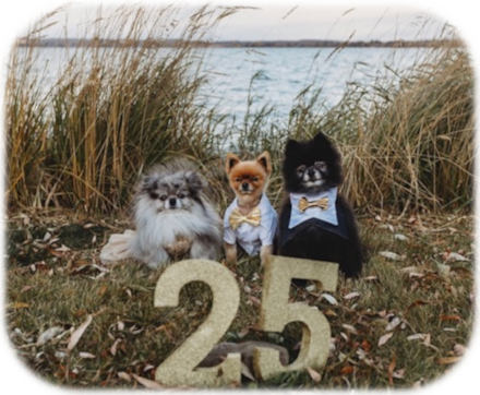 Fred, Barney and Betty - the Fur Kids