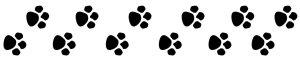 Paw Prints